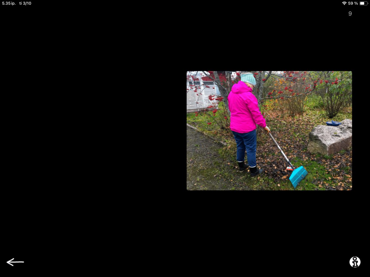 IMG_1066.PNG